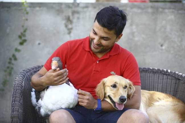 Köpek ve kazın ilginç dostluğu